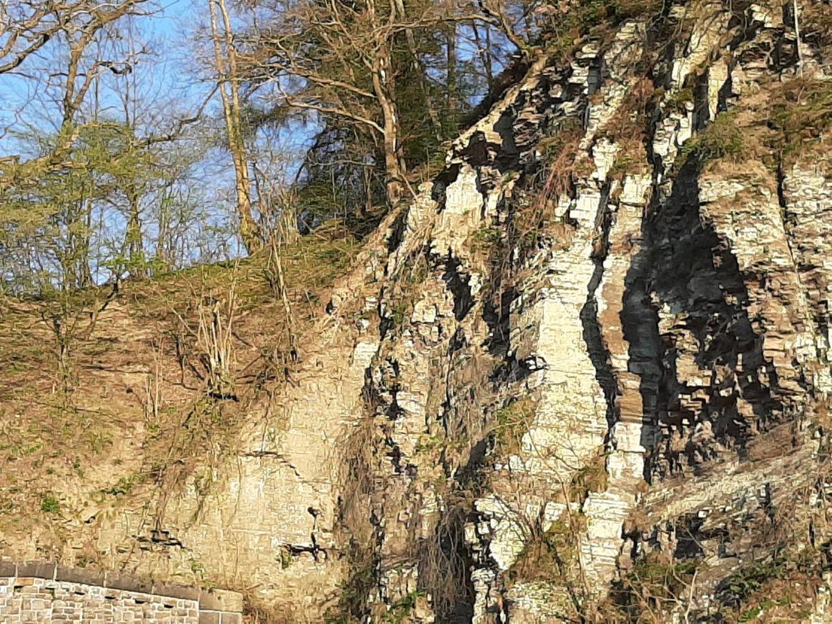 Garni-Hotel-Schaefer Schuld Экстерьер фото